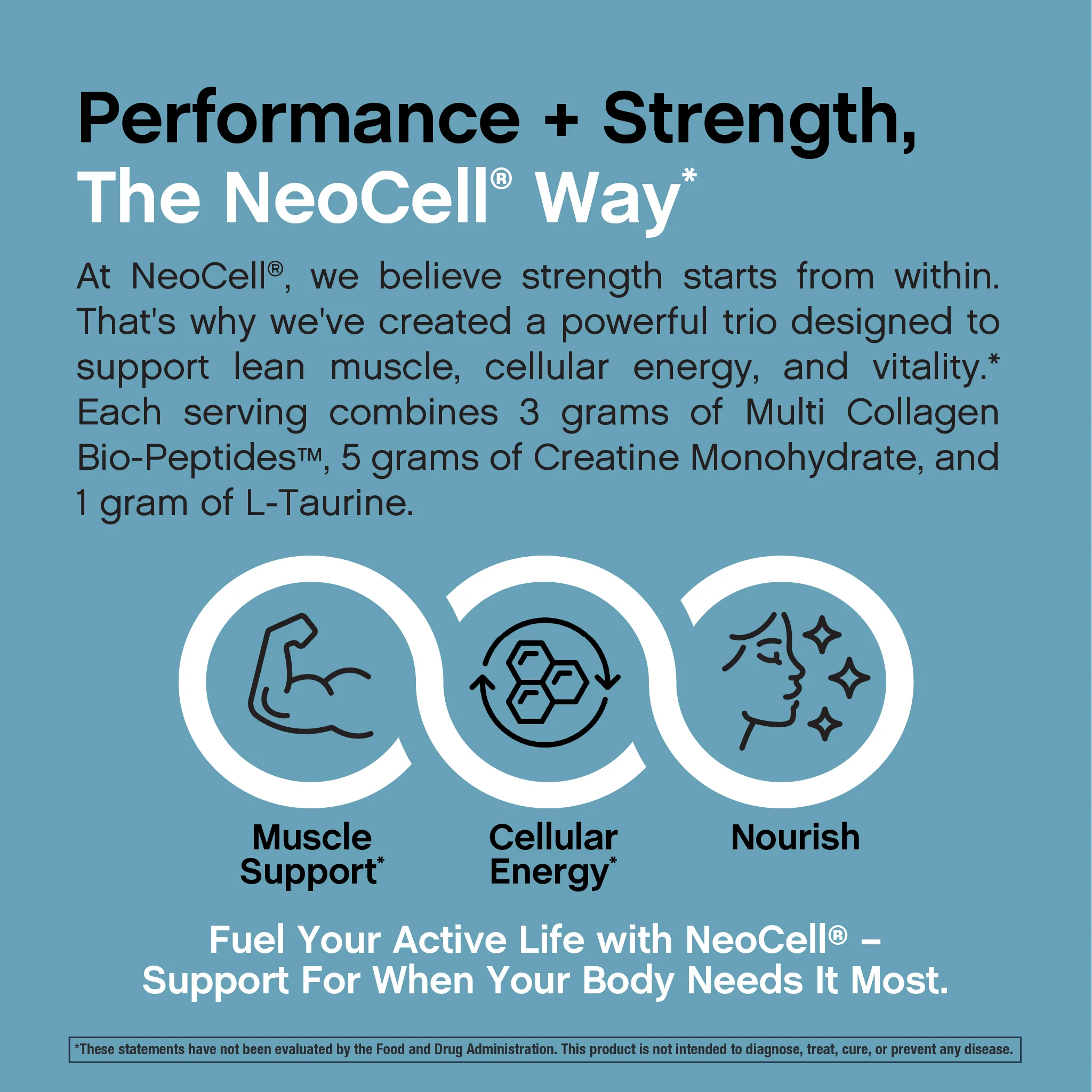 Creatine + Multi Collagen, 10 oz (285 g) Powder - Image 4