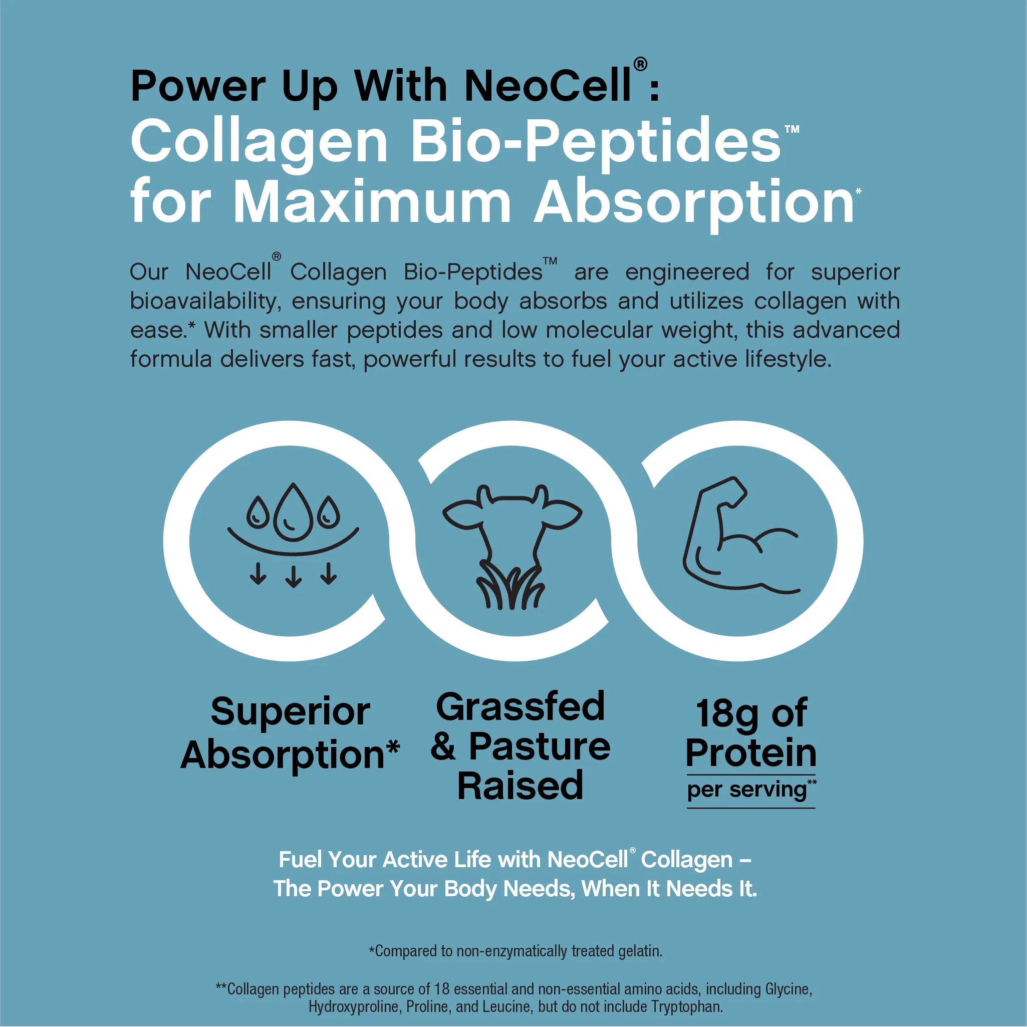 Grassfed Collagen Bio-Peptides, 10 oz (283 g) Powder - Image 7