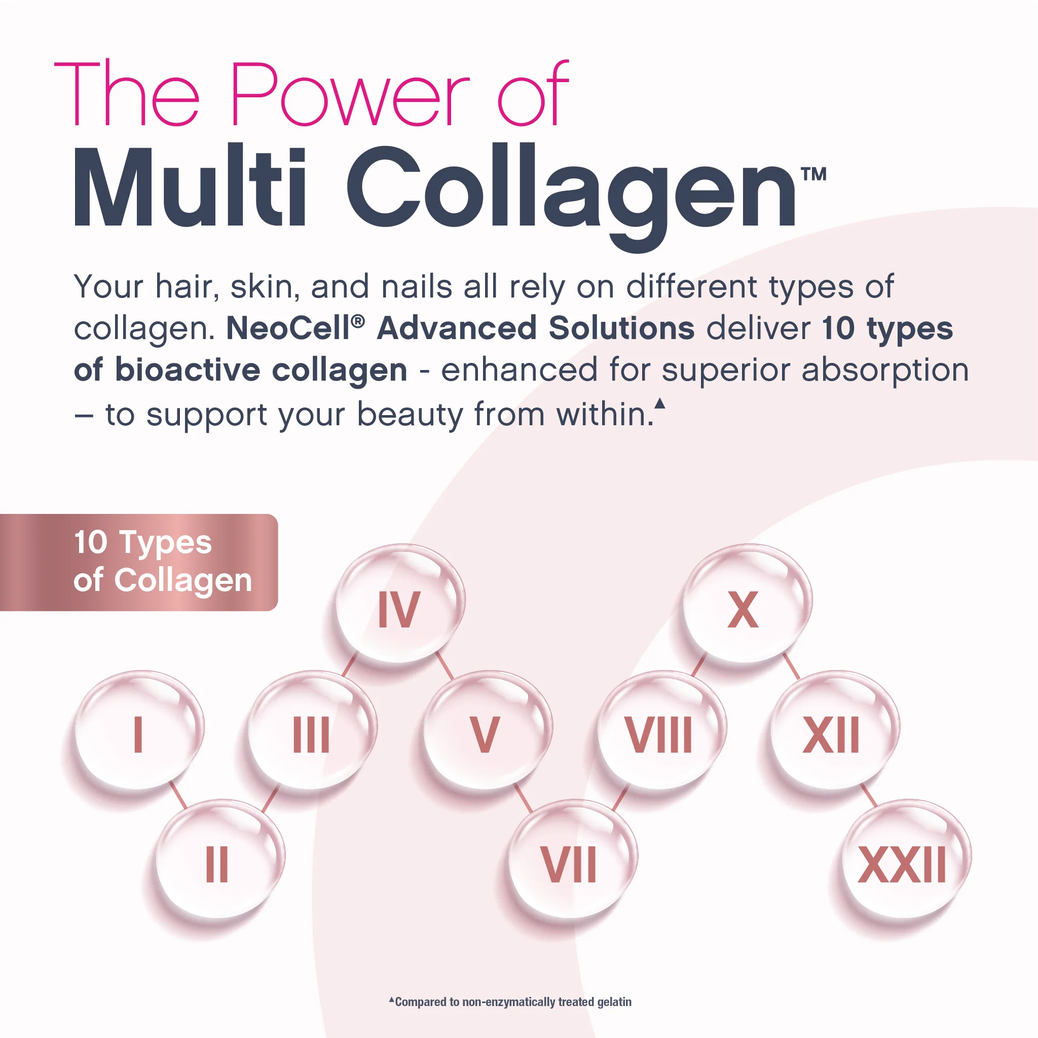 Multi Collagen Bio-Peptides Protein, 6 Vials Liquid - Image 4