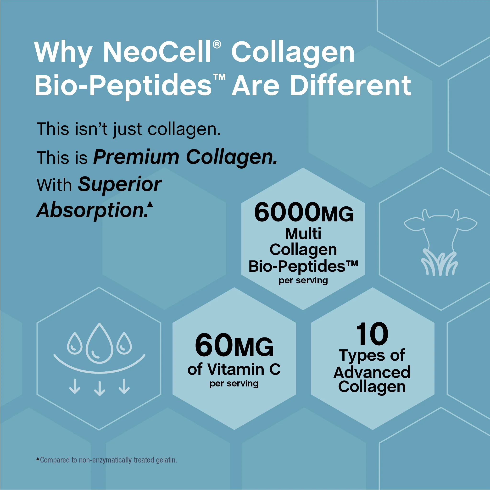 Multi Collagen Bio-Peptides Protein, 6000 mg, 360 Caplets - Image 7