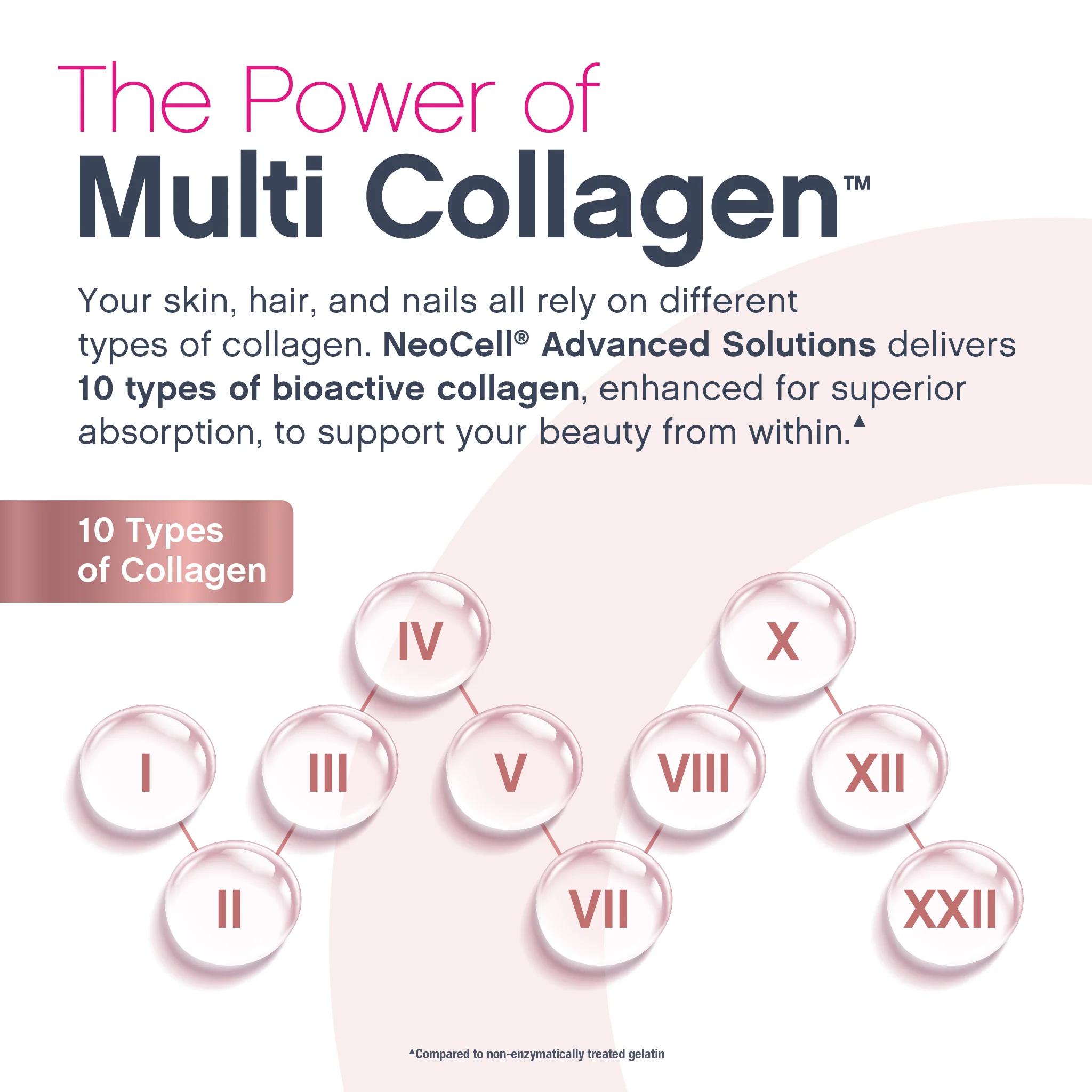 Multi Collagen + Biotin Liquid Advanced Delicious Fruit Punch Flavor, 16 oz Liquid - Image 4